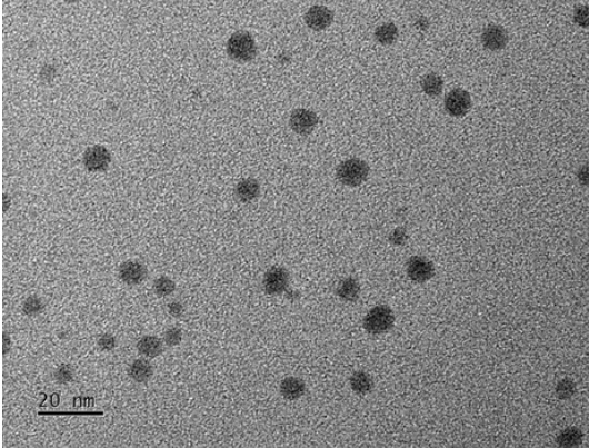Inovativní použití nanočástic sulfidu stříbra v dvojitých síťových hydrogelech pro fototermální terapii s rakovinou