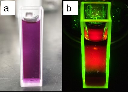 Červené světlo Carbon Quantum Dot (CQD) nanočástice